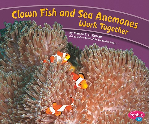 有关以下物品的详细资料: clown fish and sea anemones work